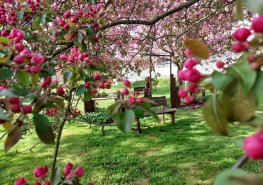 I STONAT SE DÁ S ÚSMĚVEM aneb duben na dětském oddělení