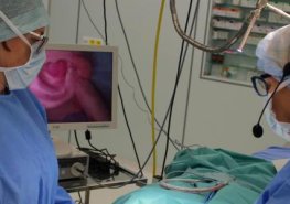 Plastiky boltců je výhodné stihnout do 10 let věku, říkají ORL lékaři. Na semináři si sdíleli zkušenosti.