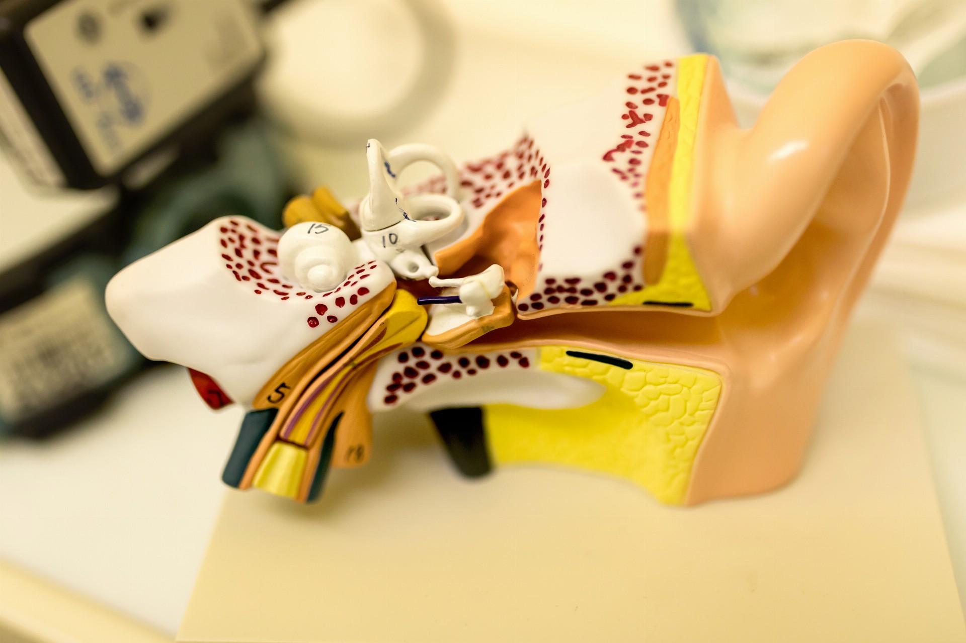 Pardubická nemocnice má nové Centrum vysoce specializované péče pro dětské pacienty s trvalou poruchou sluchu