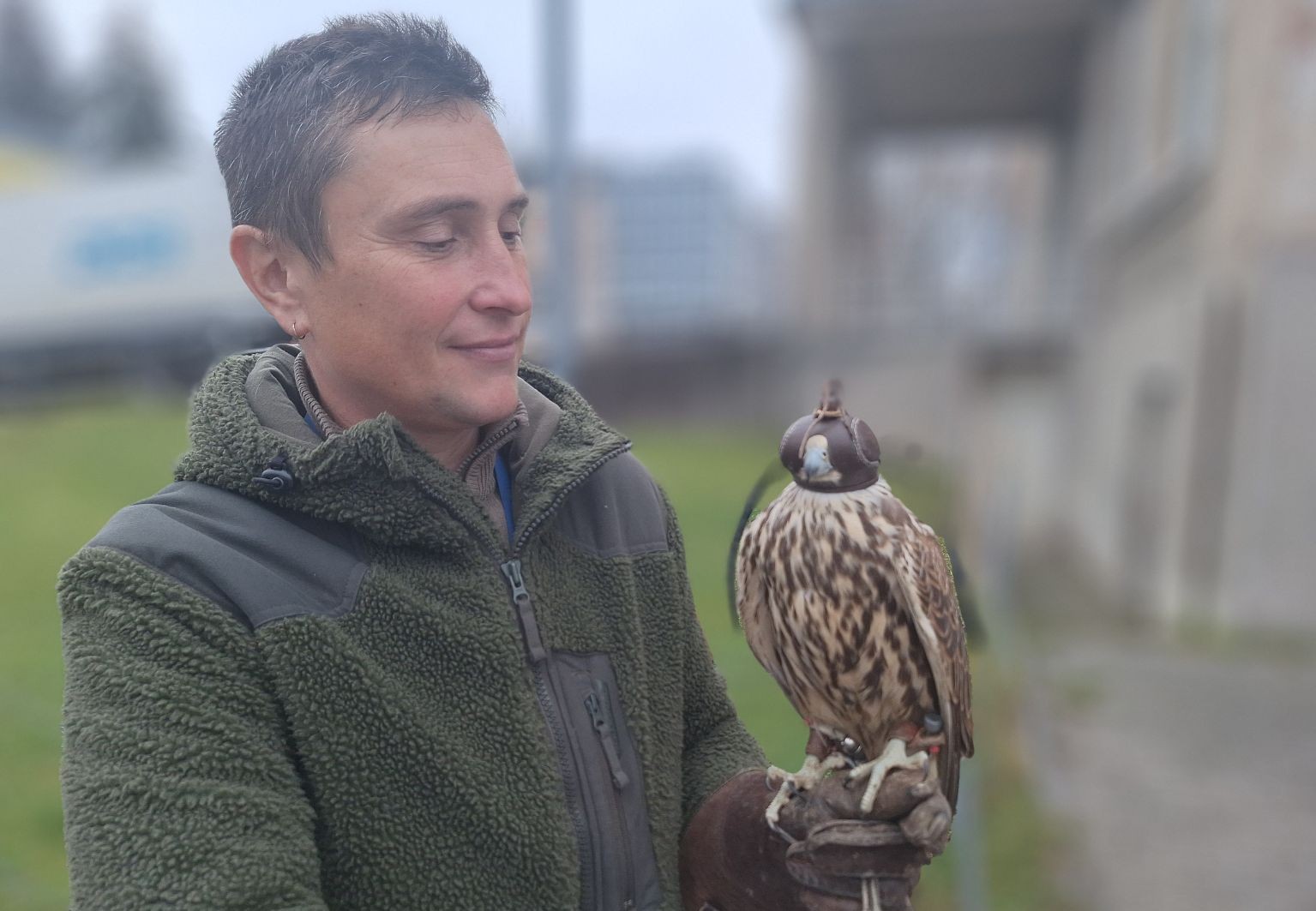 Pardubické nemocnici vypomáhá sokolník